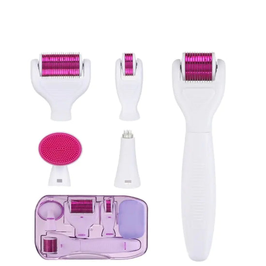 Kit de micro-aiguilles cosmétiques Derma Roller 6 en 1